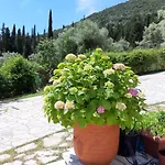 Korakias Seaview Holiday home *