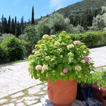 Korakias Seaview Feriehus *