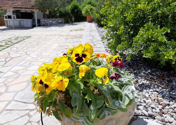 Korakias Seaview * Geni (Lefkada)